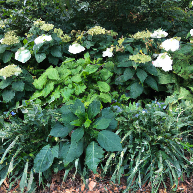 Цветни фигури