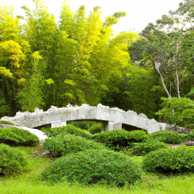 изграждане на озеленяване изграждане на озеленяване