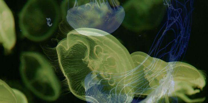 Каква е разликата между отрова и токсин? 3 Пълно ръководство за рисуване върху стъкло за начинаещи