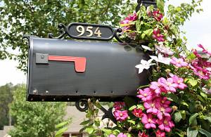 114183 9143487300745851106911 004556354124 7983 903624116907 8015 1828500493