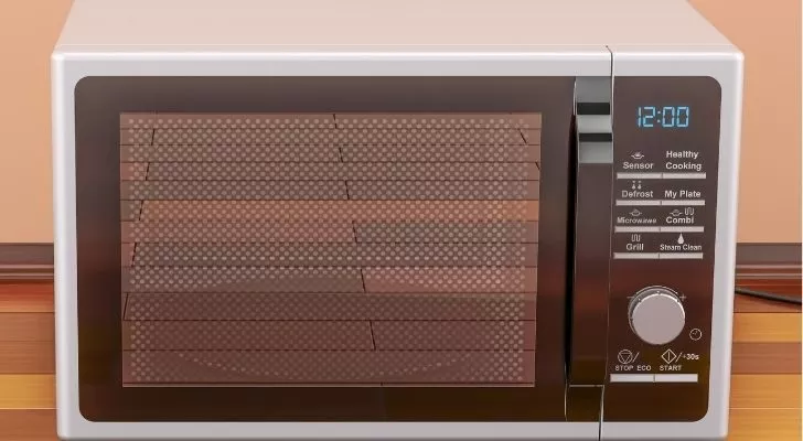 Историята и произхода на микровълновата печка 5 микровълновите печки днес