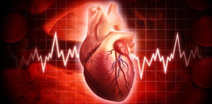 10 факта за човешкото сърце 2 121595 10 facts about the human heart