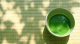 122025 facts about green tea