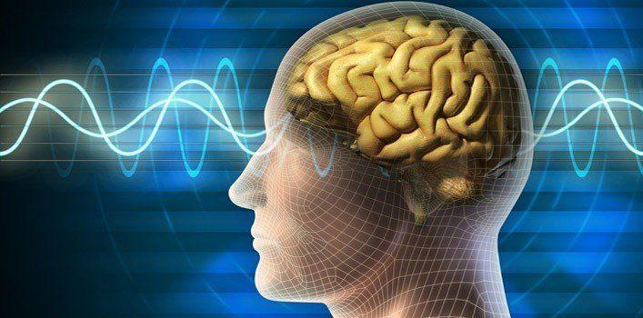 20 удивителни факта за човешкия мозък 3 132783 20 amazing facts about the human brain