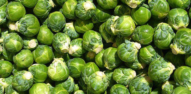 10 забавни факта за брюкселското зеле 2 133986 10 funky facts about brussels sprouts