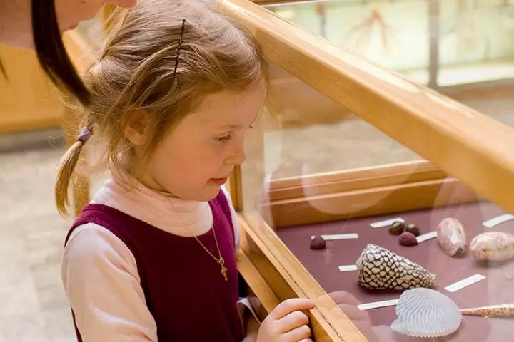 Цена на билета за детски музей Stellar Цена на билета за детски музей Stellar