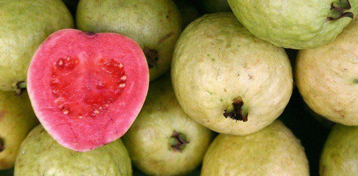 15 плодови факта за гуавата 2 143088 15 fruity facts about guavas